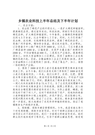 乡镇农业科技上半年总结及下半年计划