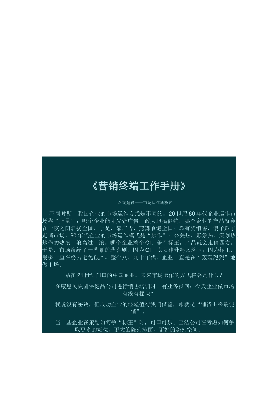 营销终端必备工作手册_第1页