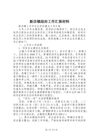 新店镇综治工作汇报材料 