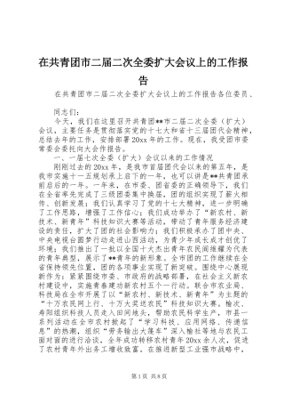 在共青团市二届二次全委扩大会议上的工作报告 