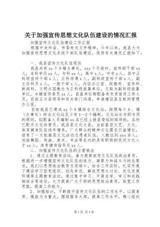 关于加强宣传思想文化队伍建设的情况汇报 