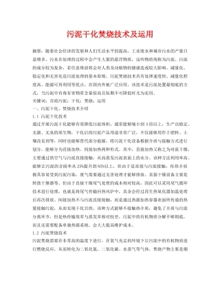 《安全管理论文》之污泥干化焚烧技术及运用 