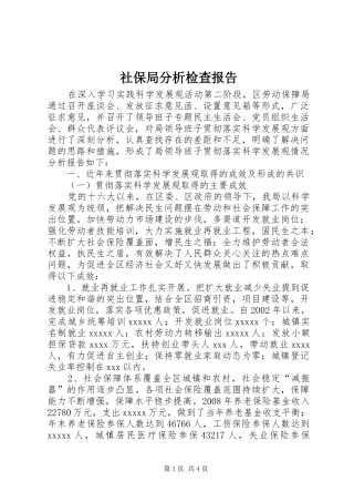 社保局分析检查报告 