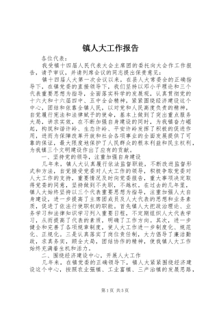 镇人大工作报告 