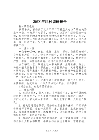 20XX年驻村调研报告 (3)