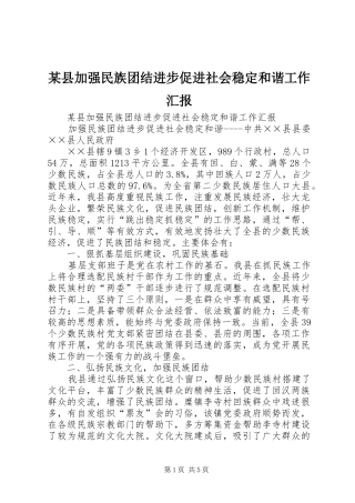 某县加强民族团结进步促进社会稳定和谐工作汇报 
