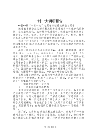 一村一大调研报告 