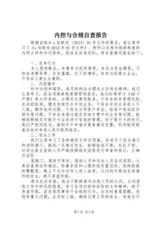 内控与合规自查报告 