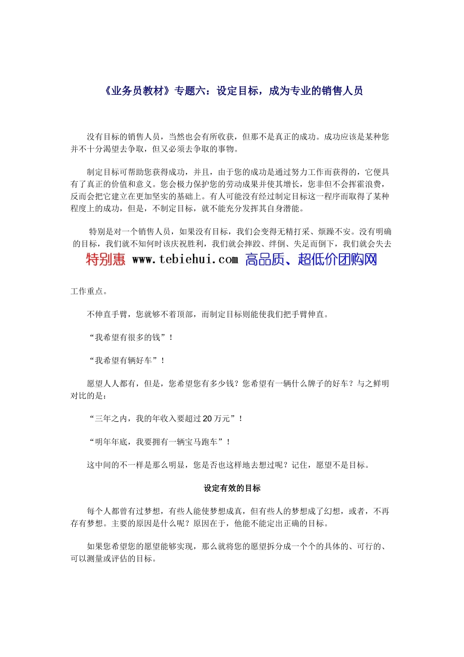 业务员教材专题六设定目标成为专业的销售人员_第1页