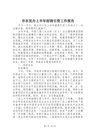 市农发办上半年招商引资工作报告 