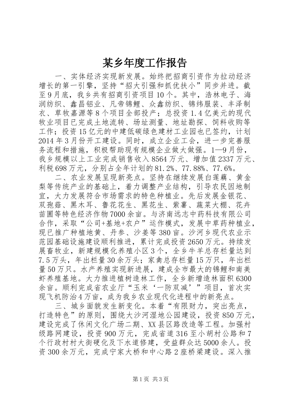 某乡年度工作报告 _第1页