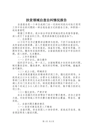 扶贫领域自查自纠情况报告 