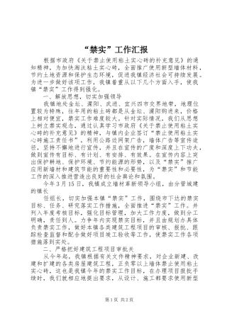 “禁实”工作汇报 