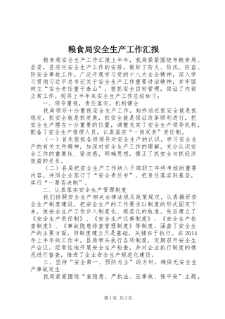 粮食局安全生产工作汇报 