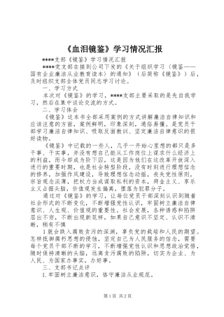 《血泪镜鉴》学习情况汇报 