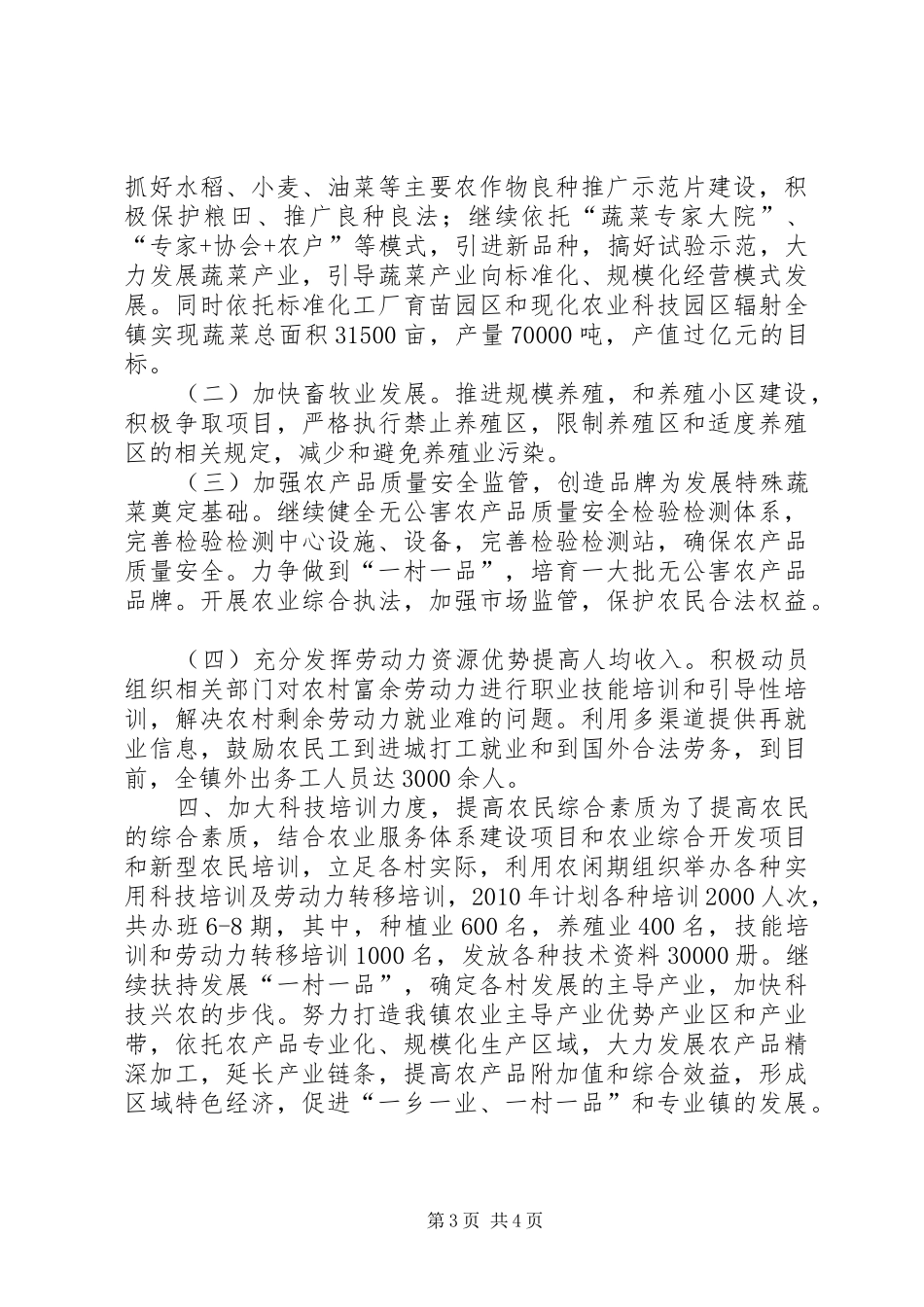 乡镇农业农村工作发展计划及措施_第3页