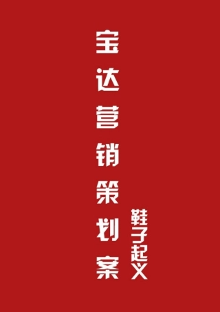 宝达营销策划案