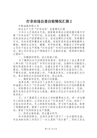 打非治违自查自检情况汇报2 (5)