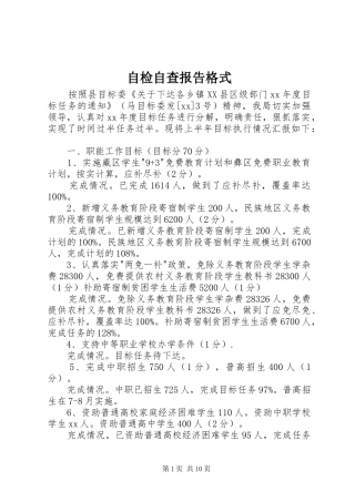 自检自查报告格式 