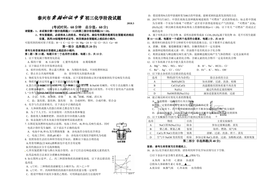 2018年3月泰兴市实验初中初三化学阶段试卷 _第1页
