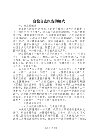 自检自查报告的格式 