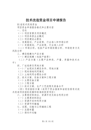 技术改造资金项目申请报告 