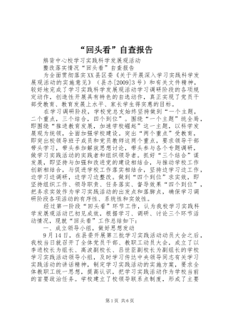 “回头看”自查报告1 