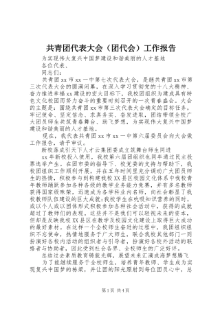 共青团代表大会（团代会）工作报告 