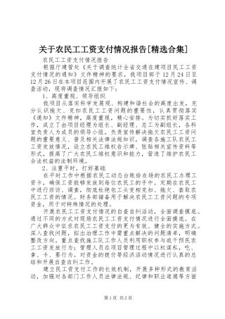 关于农民工工资支付情况报告[精选合集] 
