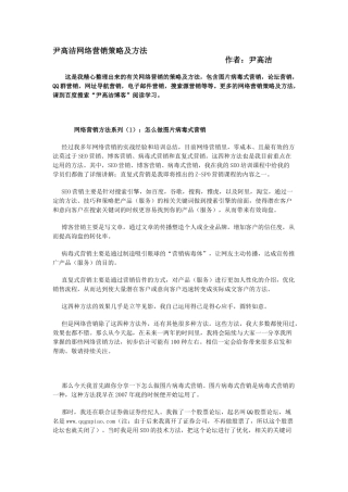 尹高洁网络营销策略及方法