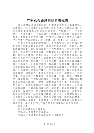 广电总台正风肃纪自查报告 