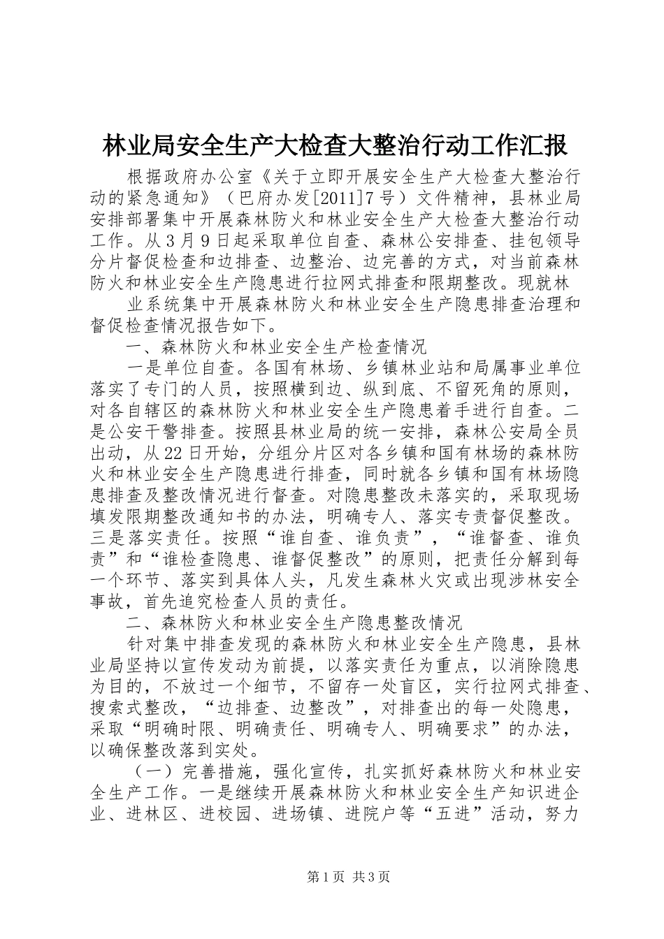 林业局安全生产大检查大整治行动工作汇报 _第1页
