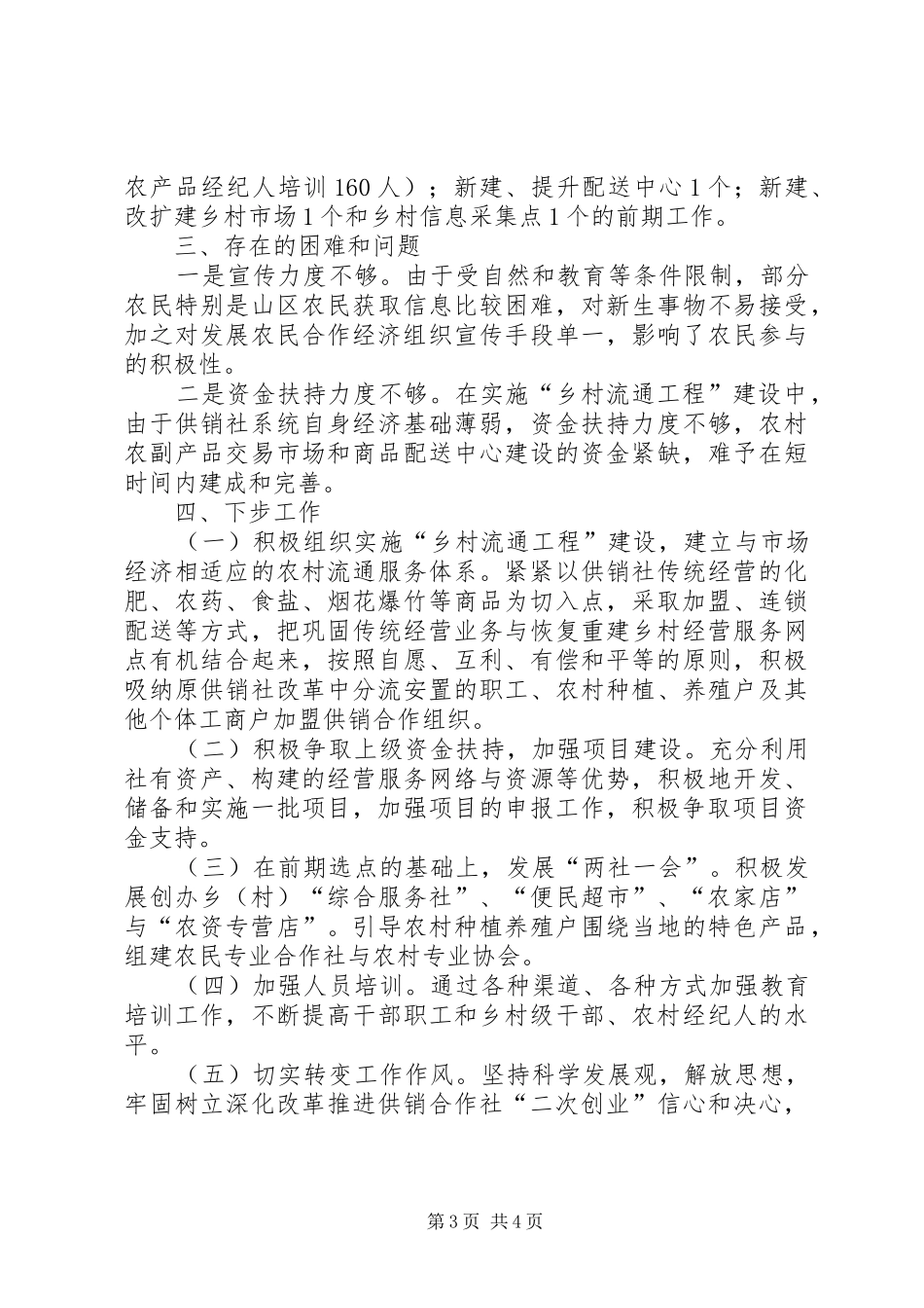 供销社实施乡村流通工程建设工作情况报告 _第3页