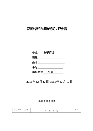 ipad2网络营销报告