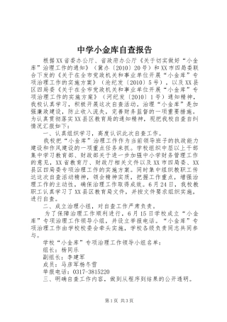 中学小金库自查报告 