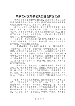 某乡农村支部书记队伍建设情况汇报 