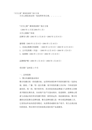 天空之都媒体投放推广执行方案