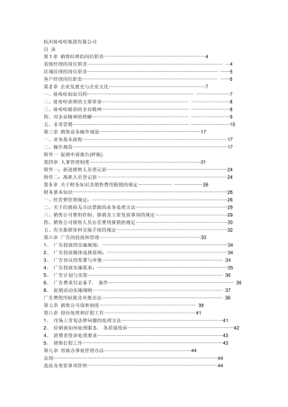 娃哈哈销售资料(1)
