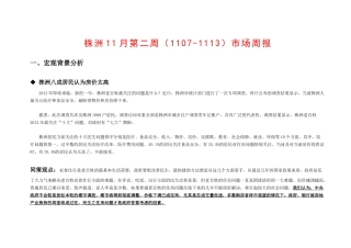 同策株洲项目管理及市场分析报告