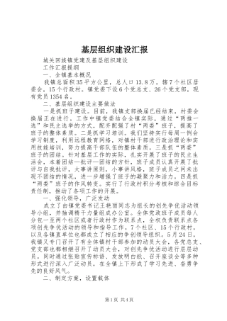 基层组织建设汇报 