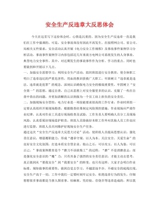 《安全管理文档》之安全生产反违章大反思体会 