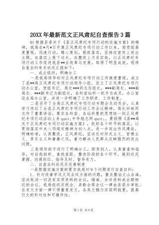 20XX年最新范文正风肃纪自查报告3篇