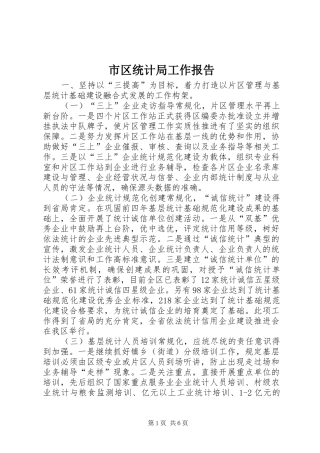 市区统计局工作报告 