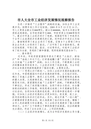 市人大全市工业经济发展情况视察报告 