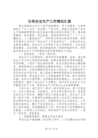 分局安全生产工作情况汇报 