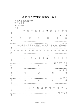 双龙可行性报告[精选五篇] 