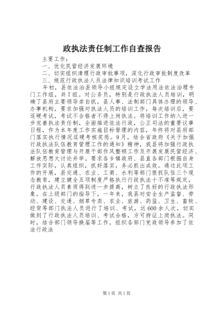 政执法责任制工作自查报告 