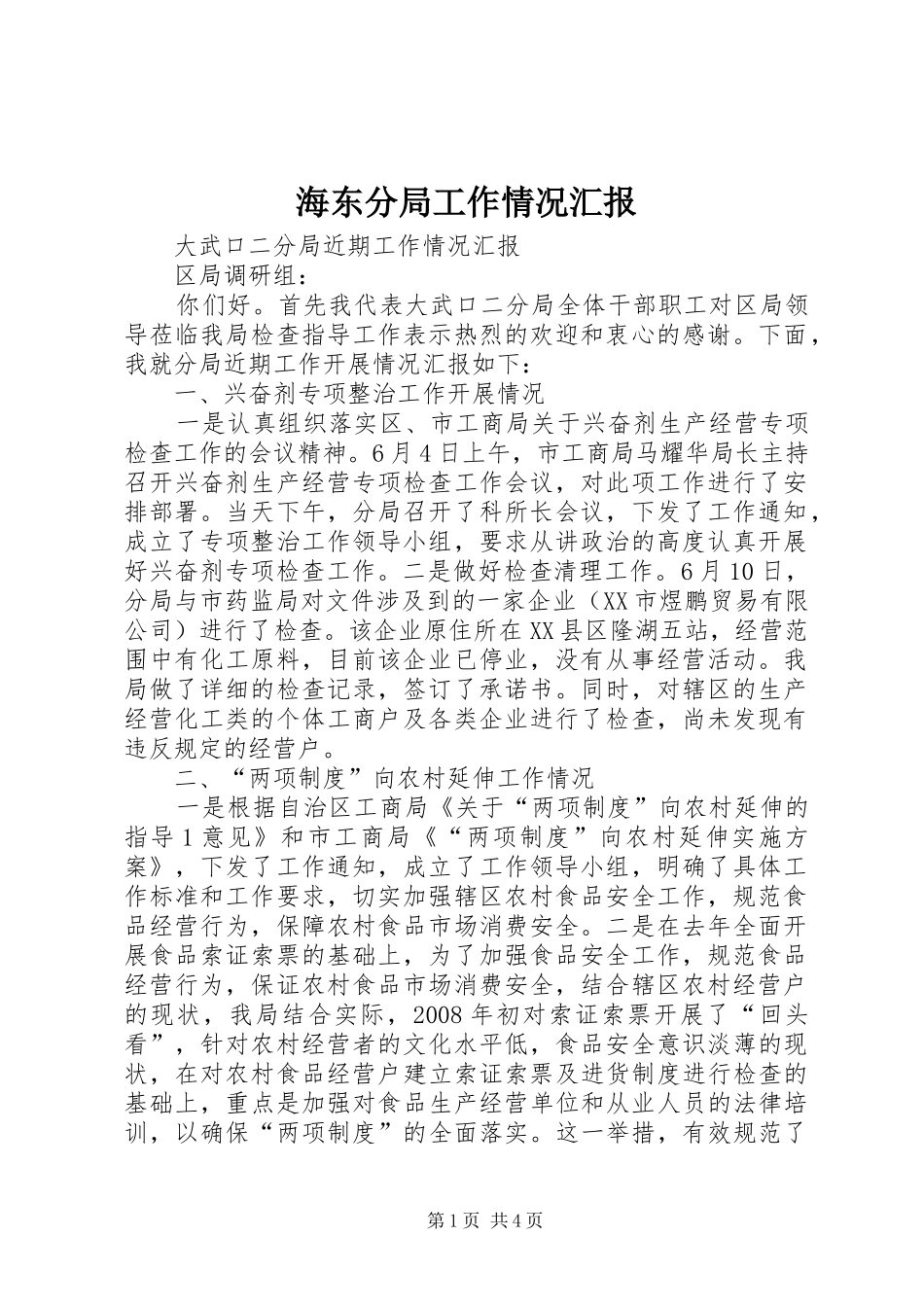 海东分局工作情况汇报 _第1页