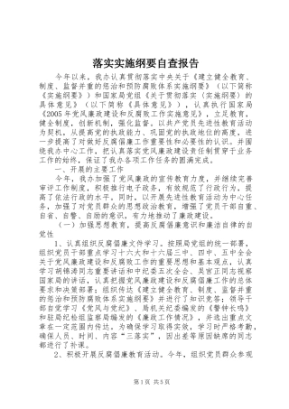 落实实施纲要自查报告 