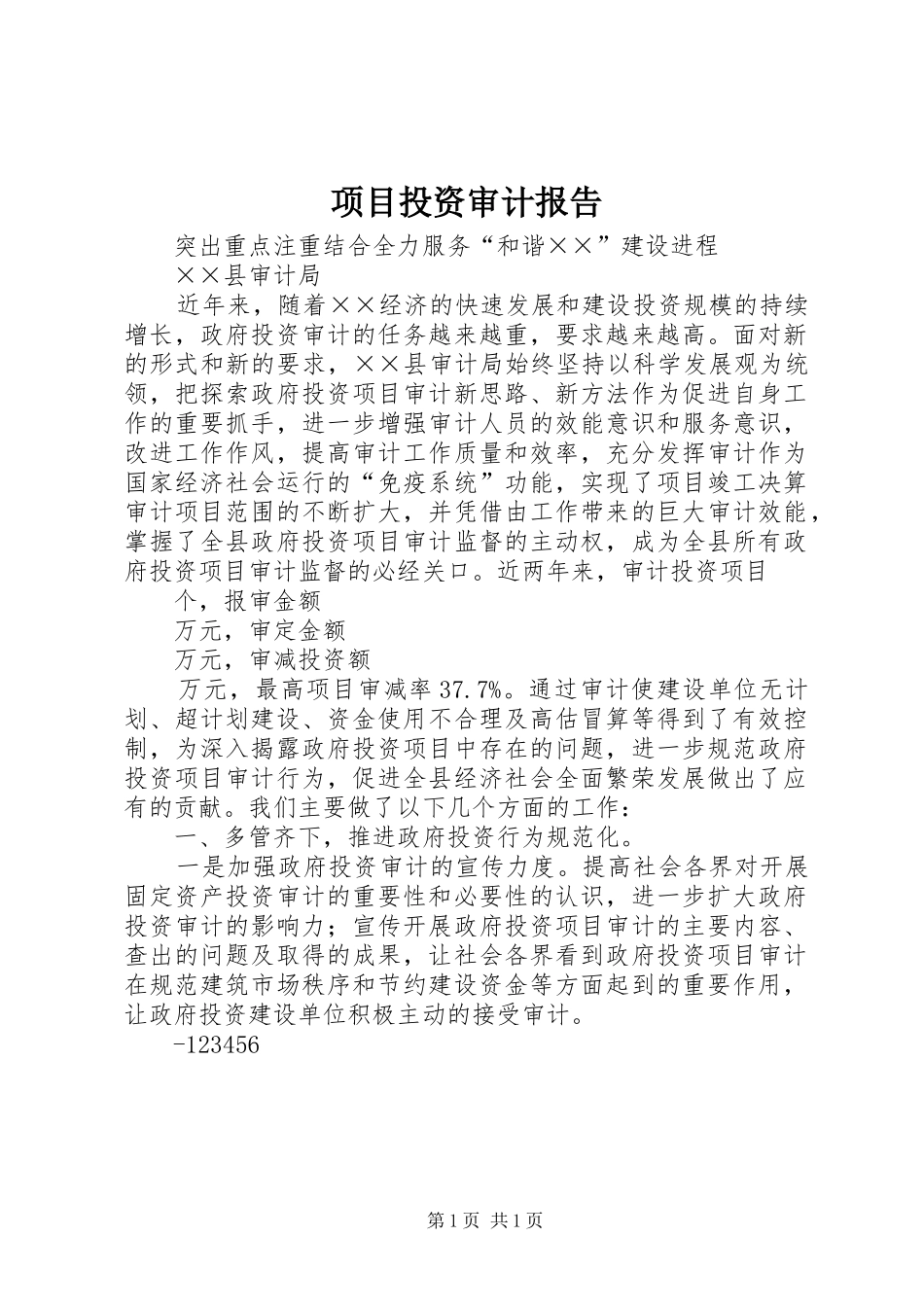 项目投资审计报告 _第1页